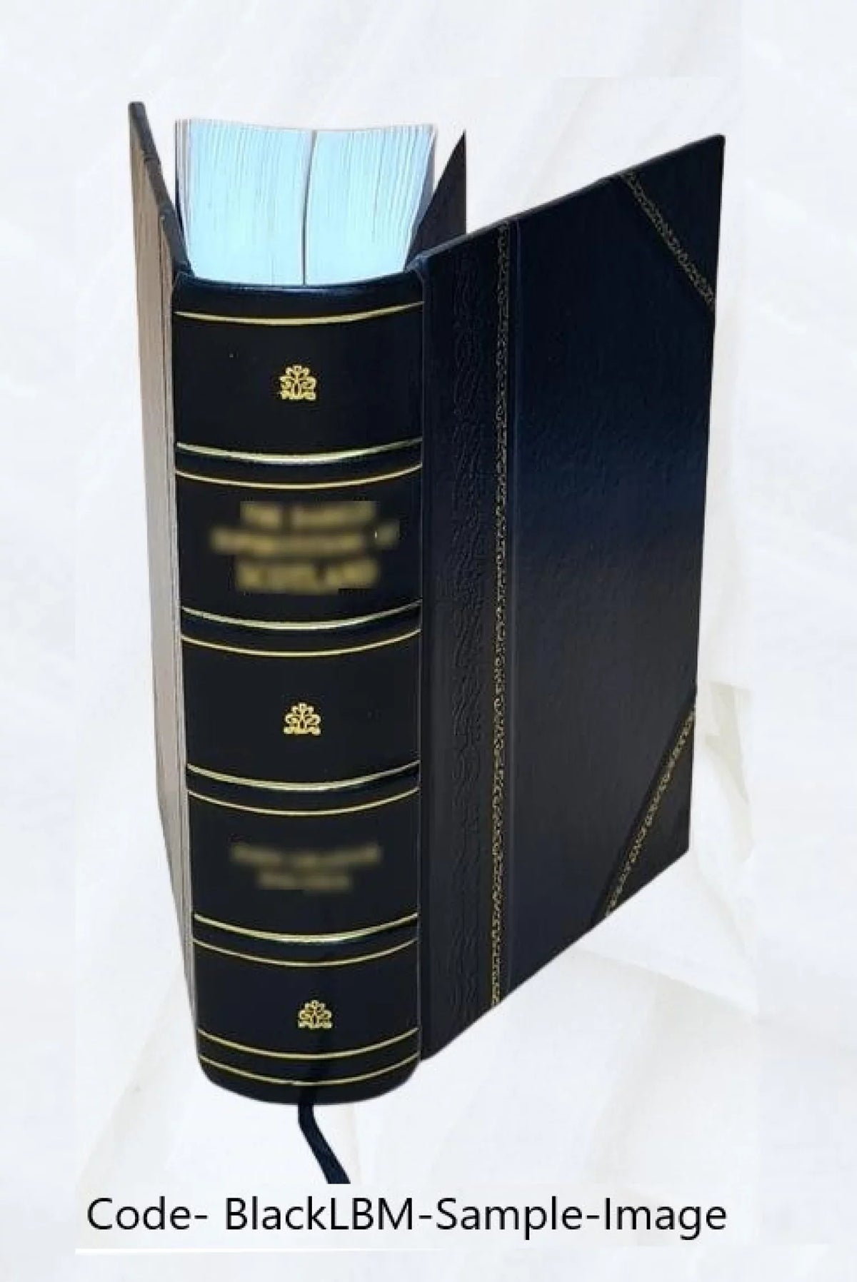 Investigation of the assassination of President John F. Kennedy : hearings before the President's Commission on the Assassination of President Kennedy. Volume v.7 1964 [Leather Bound]