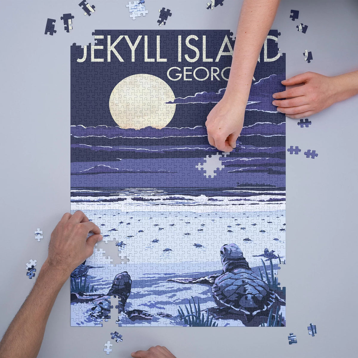 Jekyll Island, Georgia, Turtles Hatching (1000 Piece Puzzle, Size 19x27, Challenging Jigsaw Puzzle for Adults and Family, Made in USA)