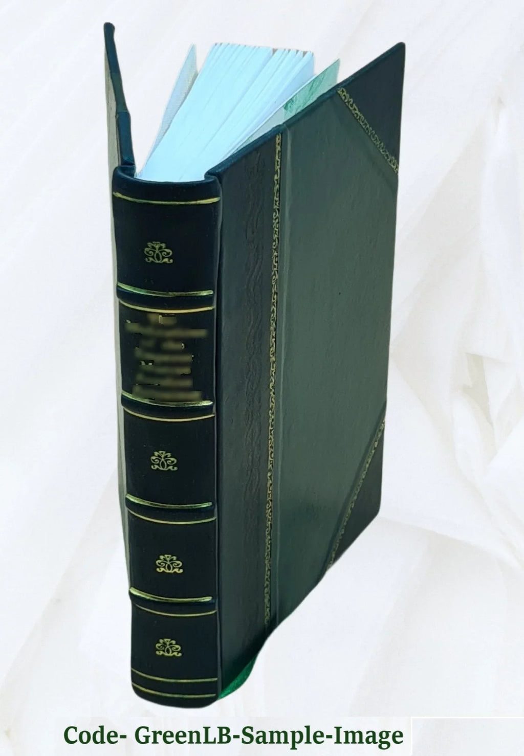 Voyages of the Elizabethan seamen to America : select narratives from the "Principal navigations" of Hakluyt ;Gilbert; Amadas and Barlow; Cavendish; Raleigh / edited by Edward John Payne. 1900 [Leathe