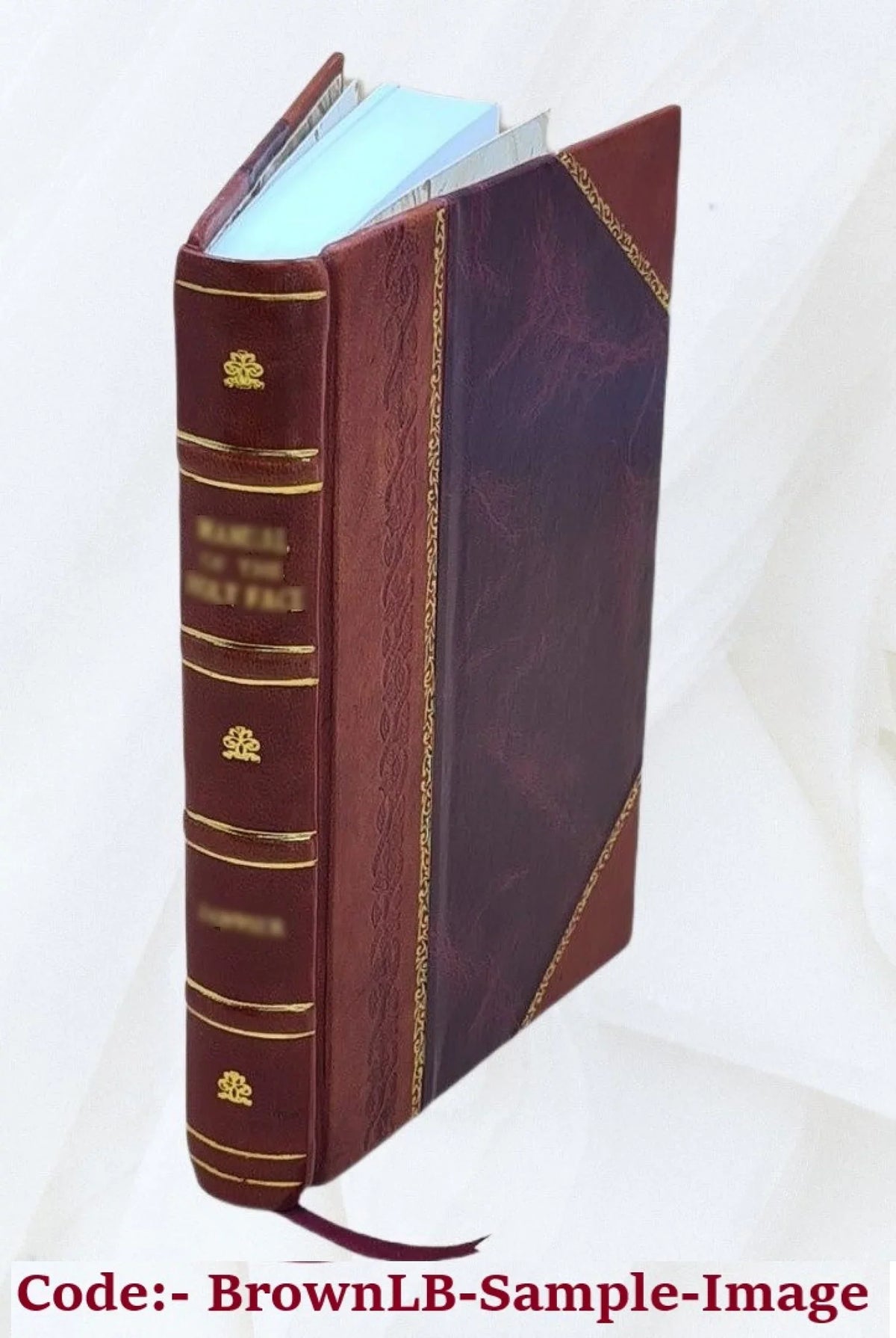 Della istoria d'Italia antica e moderna, del Cav. Luigi Bossi. Con carte geografiche e tavole incise in rame. Volume t. 16 1823 [Leather Bound]