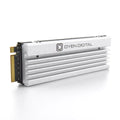 Dash Pro 8TB NVMe PCIe SSD with Heatsink, Compatible with PS5 Internal M.2 Slot