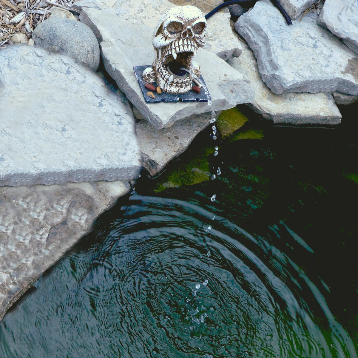 Custom Pro Skull Statuary Fountain Spitter Decorative Outdoor Fluid Feature