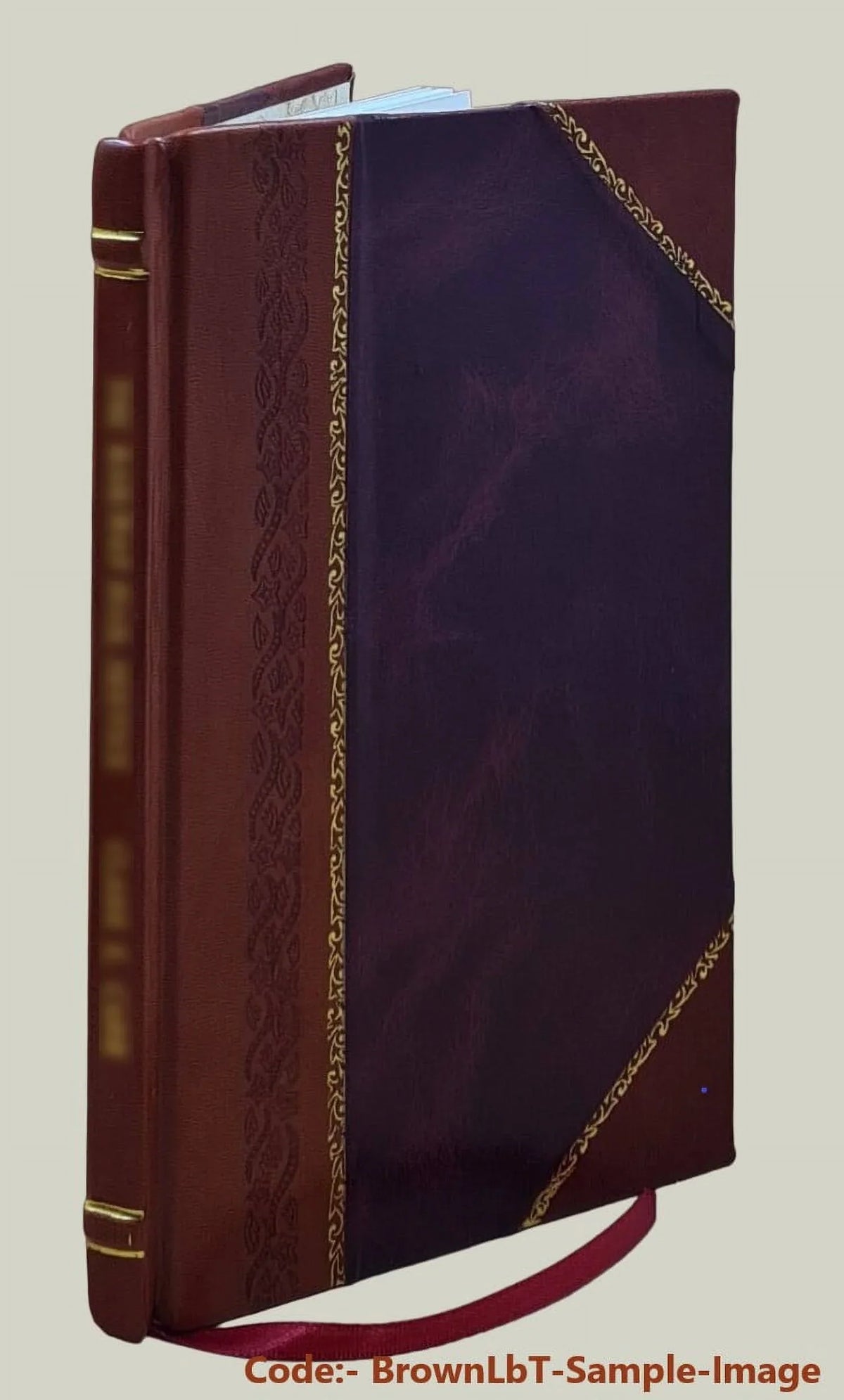 The soldier bird. "Old Abe": the live war eagle of Wisconsin; that served a three years' campaign in the great rebellion. By J. O. Barrett. 1876 [Leather Bound]