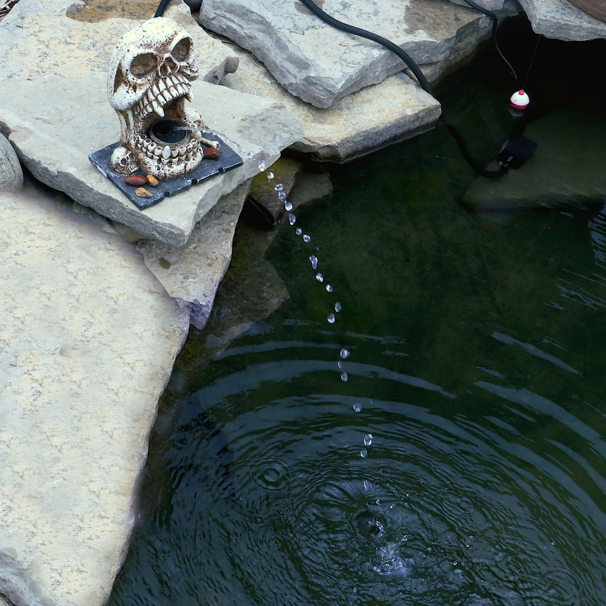 Custom Pro Skull Statuary Fountain Spitter Decorative Outdoor Fluid Feature