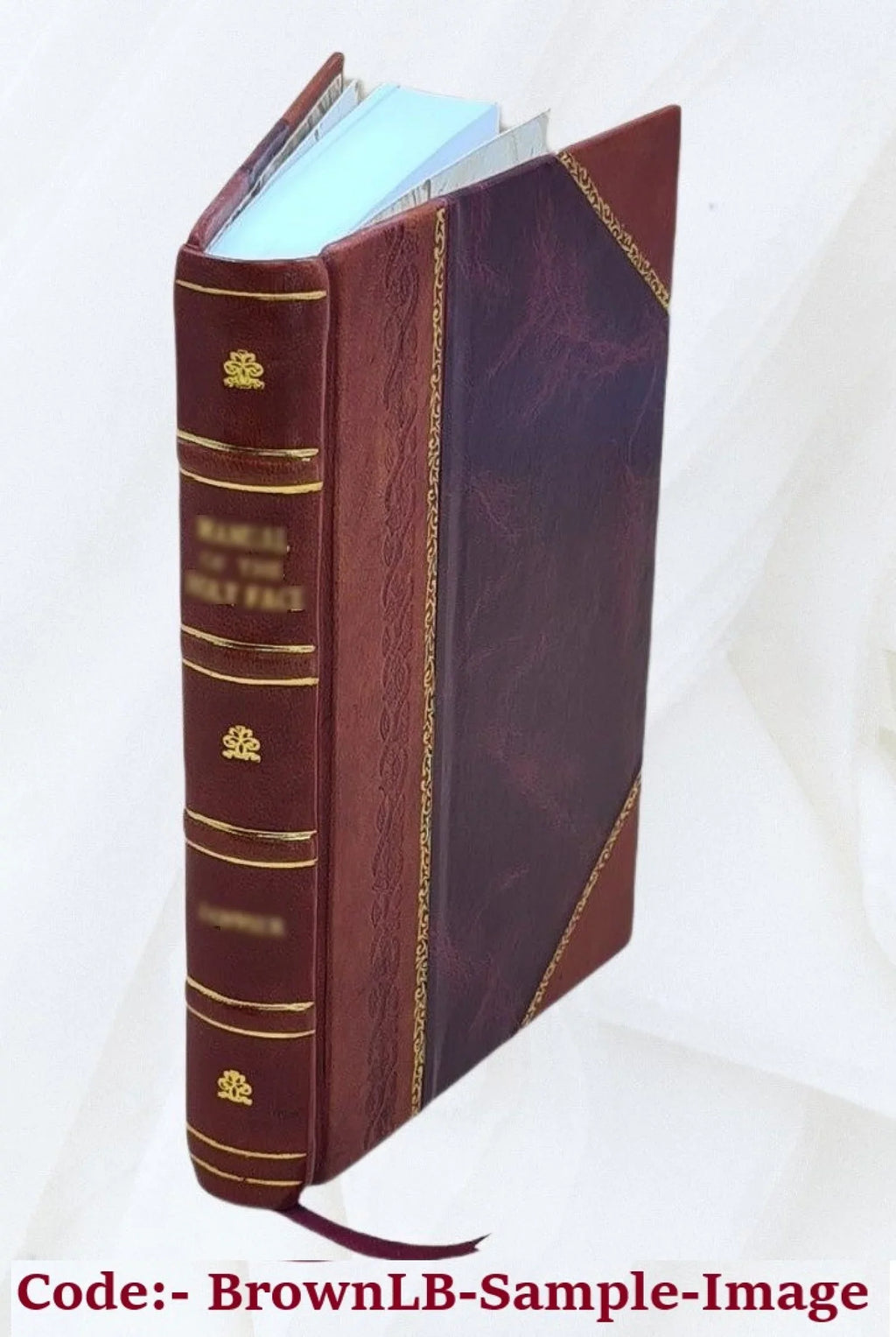 John Long's voyages and travels in the years 1768-1788; / ed. with historical introduction and notes by Milo Milton Quaife. 1922 [Leather Bound]